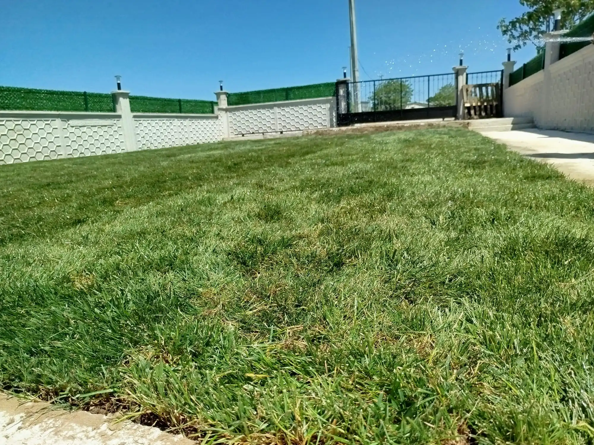 Karacabey çim döşeme uygulaması görsel 6