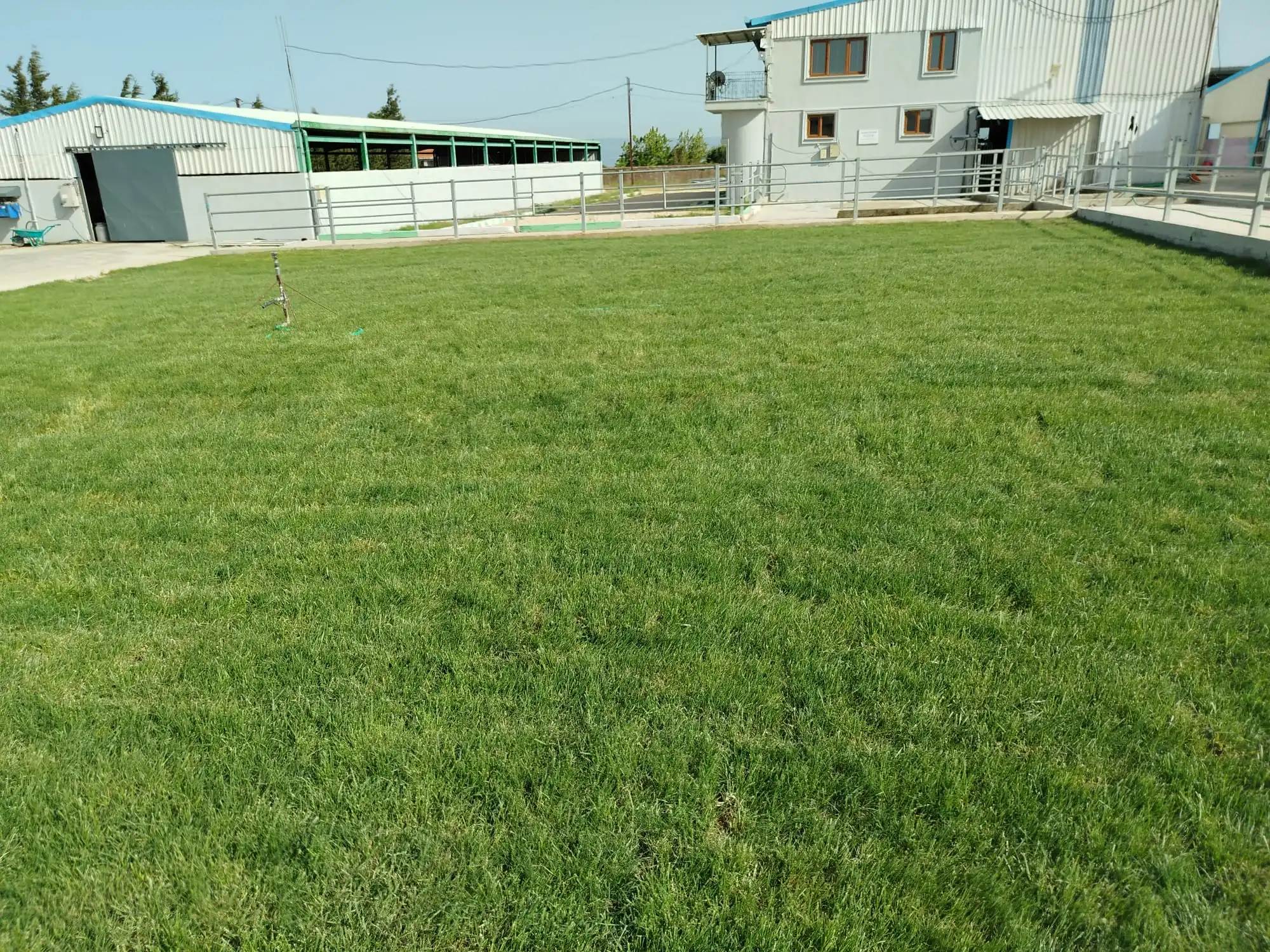 Karacabey çim döşeme uygulaması görsel 3